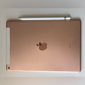 2019 Ipad pro with old gen apple pen